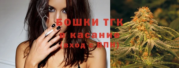 дмт Горнозаводск