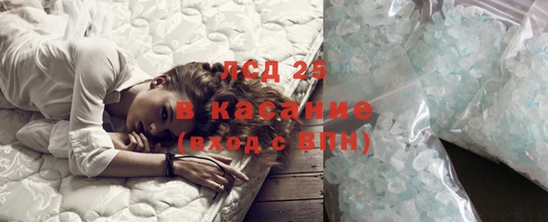 шишки Горно-Алтайск