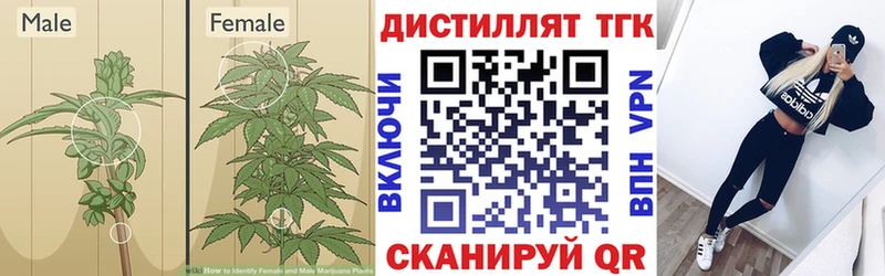 Дистиллят ТГК жижа  сколько стоит  Спас-Клепики 