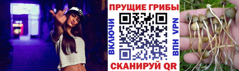 продажа наркотиков  Спас-Клепики  Галлюциногенные грибы ЛСД 